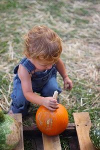 High angle view of boy holding pumpkin