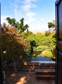 Trees and plants against sky seen through window