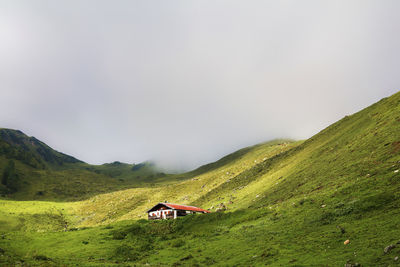 Scenic view of agricultural landscape against sky