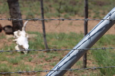 Close-up of chainlink fence