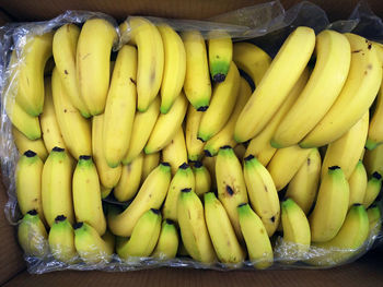 Directly above shot of bananas in box