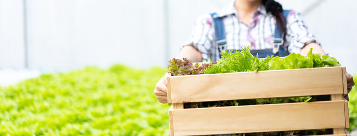 Midsection of woman with vegetables in box