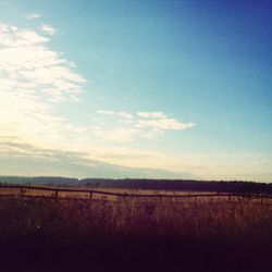 Scenic view of grassy field against sky