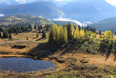 Scenic view of forest and mountains against sky