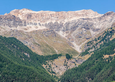 View of the italian french alps between italy and france with fir trees forest and blue sky