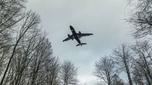 Low angle view of airplane flying in sky