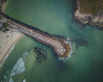 High angle view of crocodile swimming in sea