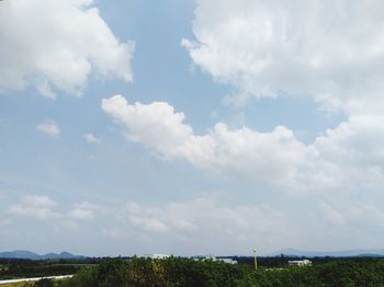 Scenic view of tree against sky