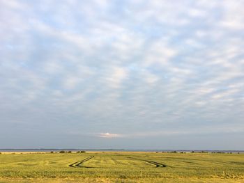 Scenic view of field against sky