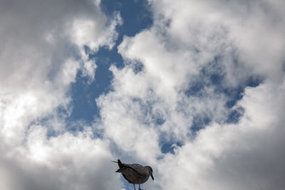 Low angle view of bird flying in sky