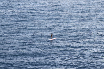 Man surfing in sea