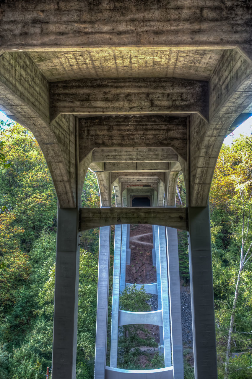 VIEW OF BRIDGE IN PARK