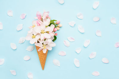 High angle view of pink white flowers against blue background