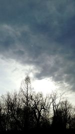 Low angle view of silhouette trees against sky