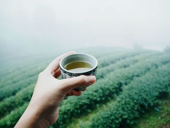 Cropped hand holding tea in cup against farm during foggy weather