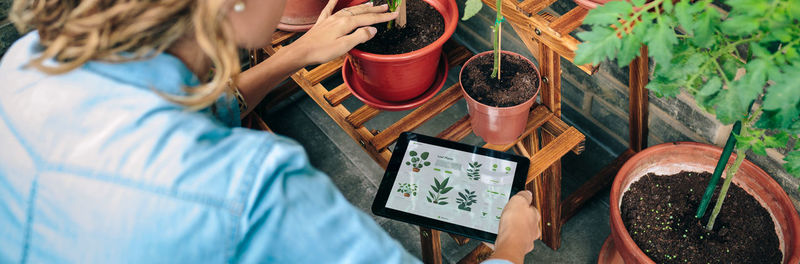 Woman using gardening app with artificial intelligence to care plants of urban garden on terrace
