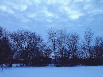 Bare trees on snow covered landscape