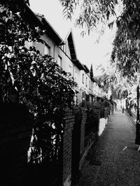 View of building along trees