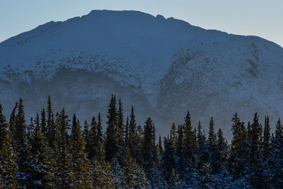 Scenic view of snowcapped mountains against clear sky