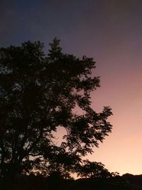 Low angle view of silhouette tree against sky at sunset