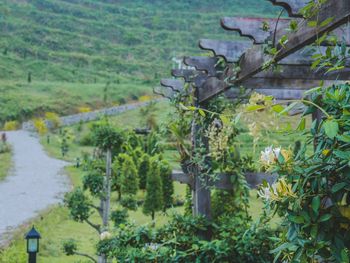 Scenic view of agricultural landscape