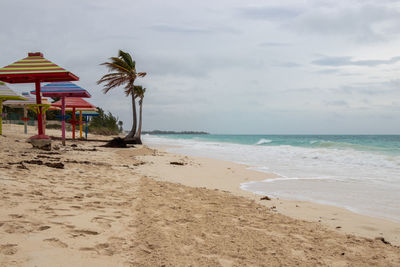 Windy day on a tropical beach in the bahamas 