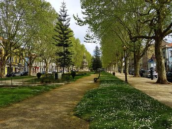 Footpath in park