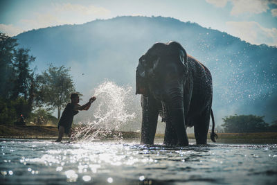 Man standing by elephant in water against sky