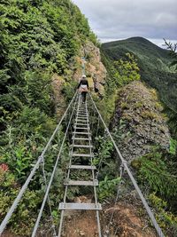 Low angle view of footbridge amidst trees against sky