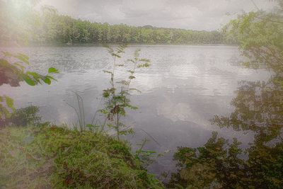 High angle view of lake amidst trees