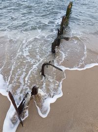 High angle view of surf on beach