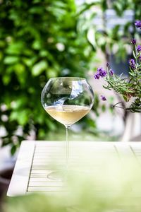 Close-up of wineglass on table