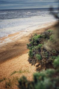 Scenic view of beach