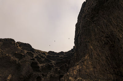 Low angle view of bird flying over rock against sky