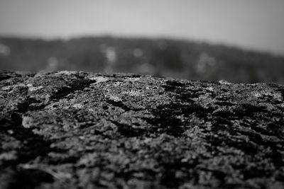 Close-up of rock on sea shore against sky