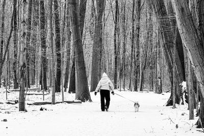 Rear view of people walking on snow covered land