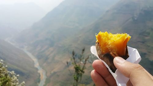 Hand holding snack against countryside landscape