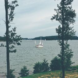 Boats in sea