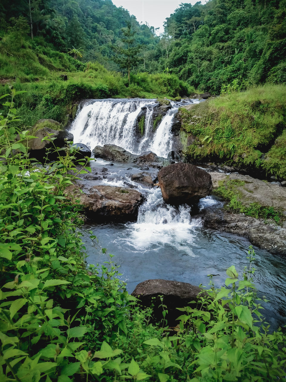 SCENIC VIEW OF WATERFALL AT FOREST