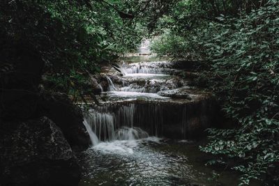 Scenic view of waterfall in forest