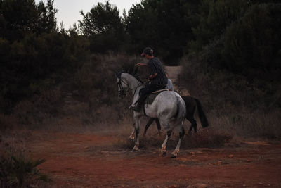 Person riding horse on field