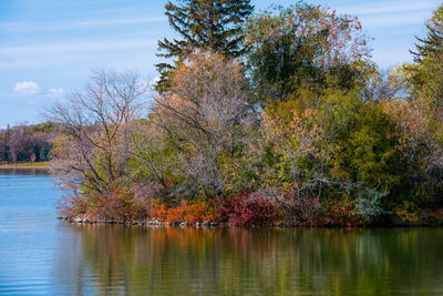 Trees by lake against sky during autumn