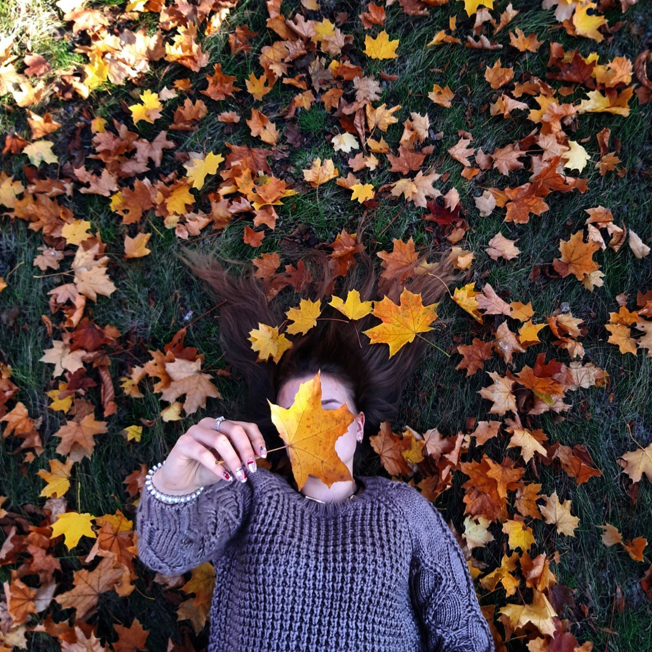 autumn, plant part, leaf, one person, change, real people, unrecognizable person, leaves, leisure activity, nature, maple leaf, lifestyles, day, obscured face, human body part, front view, casual clothing, vulnerability, covering, body part, outdoors, human face, finger