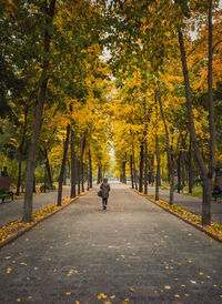Rear view of person walking on road in autumn