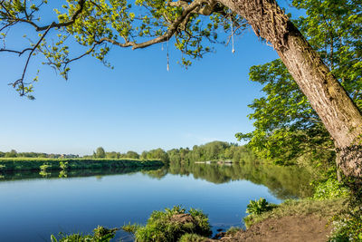 Scenic view of lake against clear blue sky