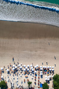 Aerial view of umbrellas at shore of beach