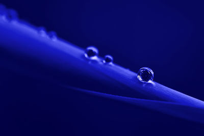 Close-up of water drop against blue background