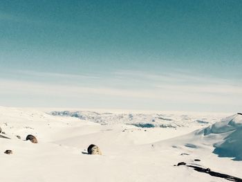 Snow covered landscape