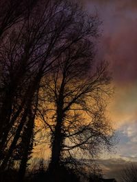 Low angle view of silhouette bare trees against sky at sunset