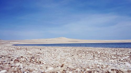 Scenic view of beach against blue sky